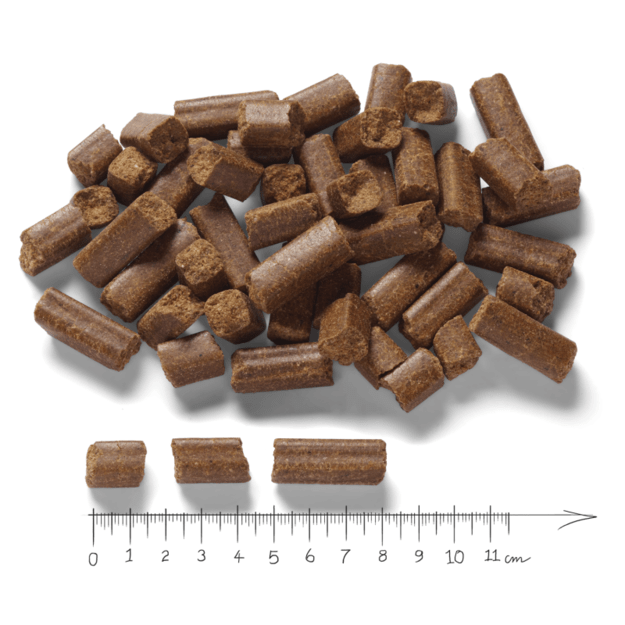 Hipoalerginis begrūdis sausas maistas Lupo Sensitiv 24/10 3