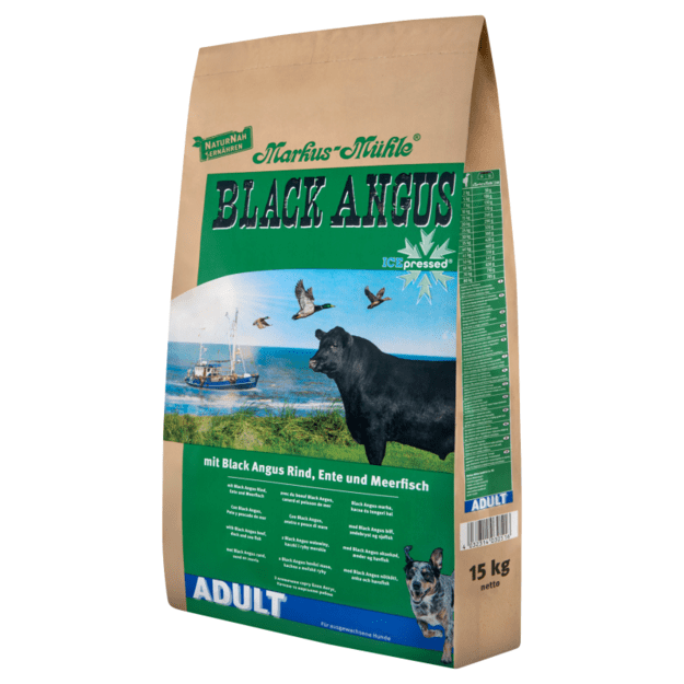 Black Angus Adult su jautiena, antiena ir silke 2