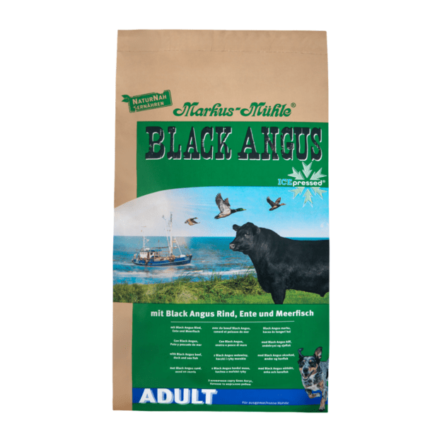 Black Angus Adult su jautiena, antiena ir silke