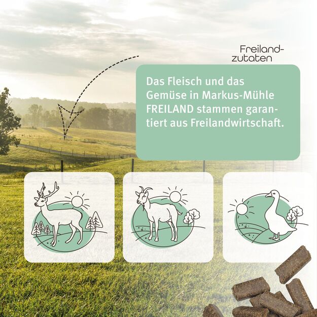 Markus-Mühle Freiland Gans – pilnavertis šunų pašaras su džiovinta žąsiena ir bulvėms 6