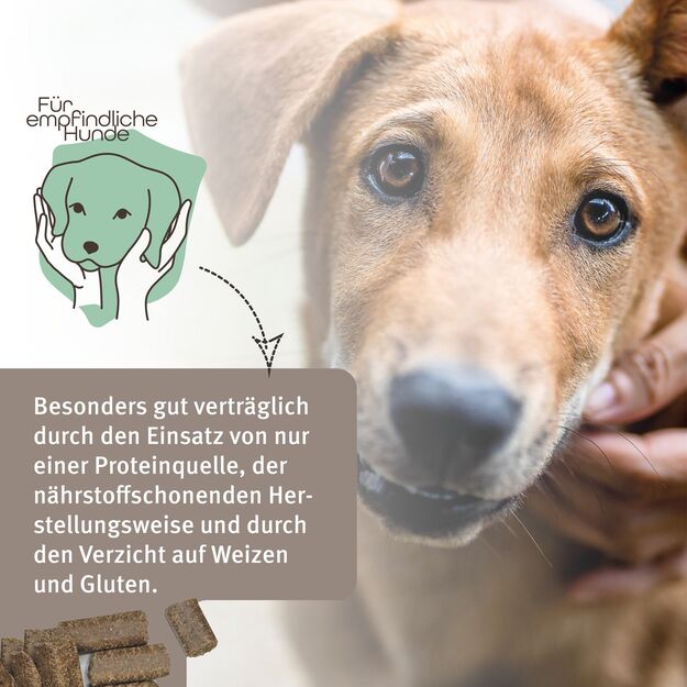 Markus-Mühle Freiland Gans – pilnavertis šunų pašaras su džiovinta žąsiena ir bulvėms 3