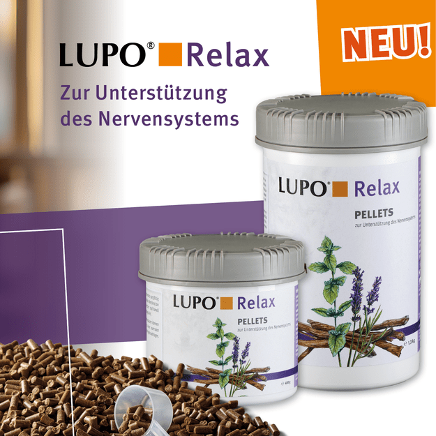 Lupo Relax - Nervų sistemos funkcijų palaikymui 2