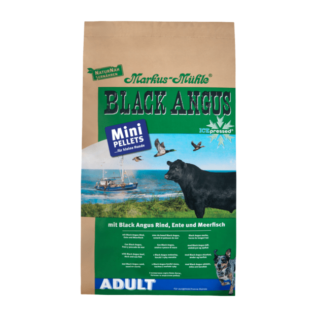 Black Angus Adult MINI su jautiena, antiena ir silke