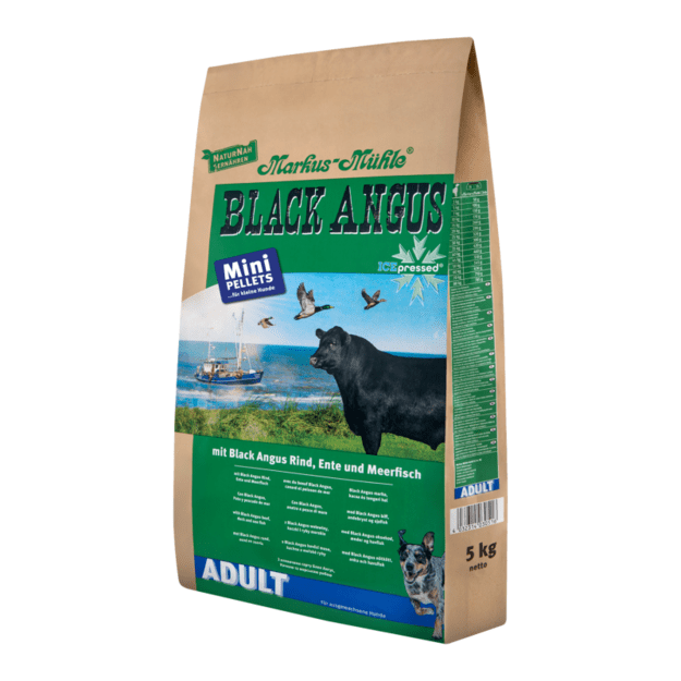 Black Angus Adult MINI su jautiena, antiena ir silke 2