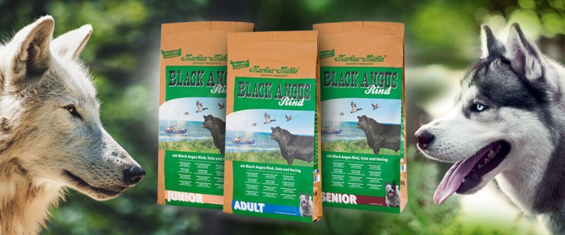 Redaguokite Turinys ir išvaizda > Reklaminiai baneriai