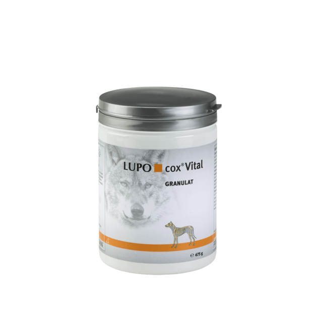 Vitaminų bei mineralų kompleksas LUPO® COX Vital